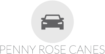 Shopping for an Amazing, New Car